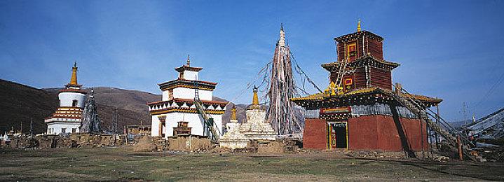 明年1月见 《大头菜小子抢银行》上市日期宣布